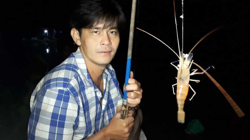 cau-tom-cang-xanh-1 câu tôm càng zanh