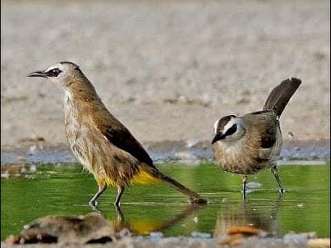 hoanh-hoach-1 Hoành hoạch